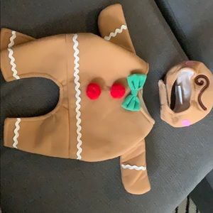 Pet Gingerbread costume